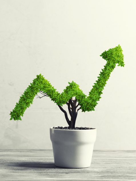 Investment Advice in Leicester & Lutterworth