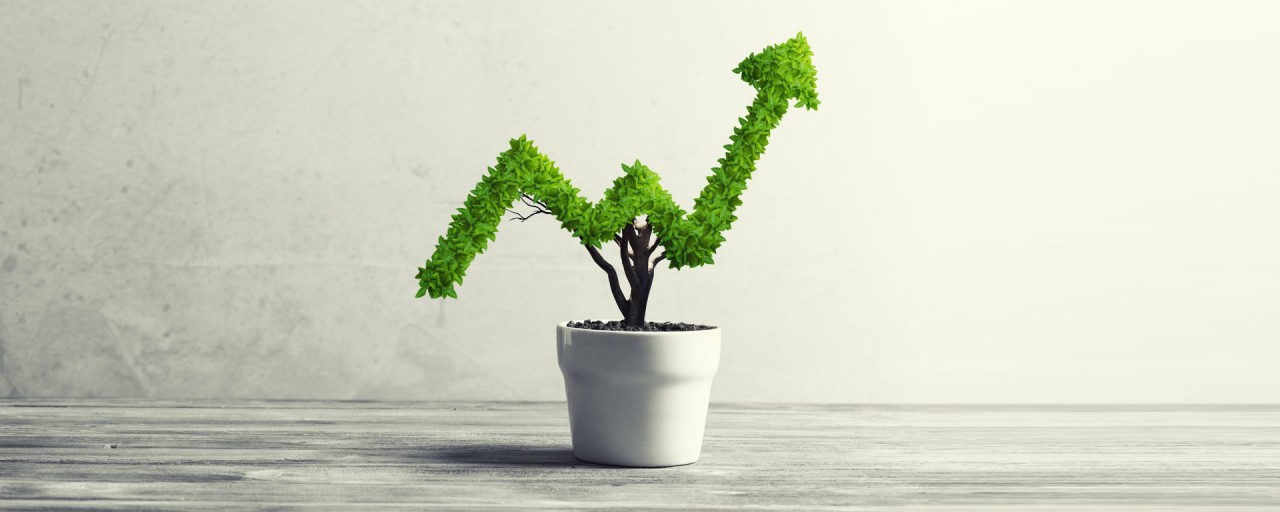 Investment Myths